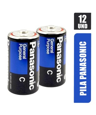 PILA PANASONIC GRANDE X 12UND