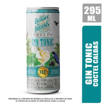 COCTEL GIN TONIC CALDAS X 295ML