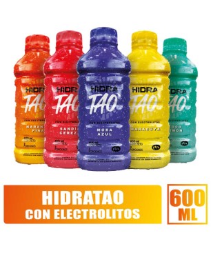 BEBIDA HIDRATANTE HIDRATAO X 600ML